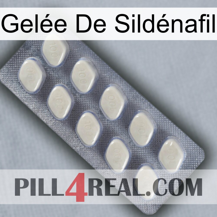 Gelée De Sildénafil 08